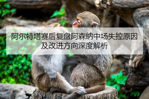 阿尔特塔赛后复盘阿森纳中场失控原因及改进方向深度解析
